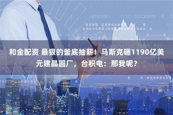 和金配资 最狠的釜底抽薪！马斯克砸1190亿美元建晶圆厂，台积电：那我呢？